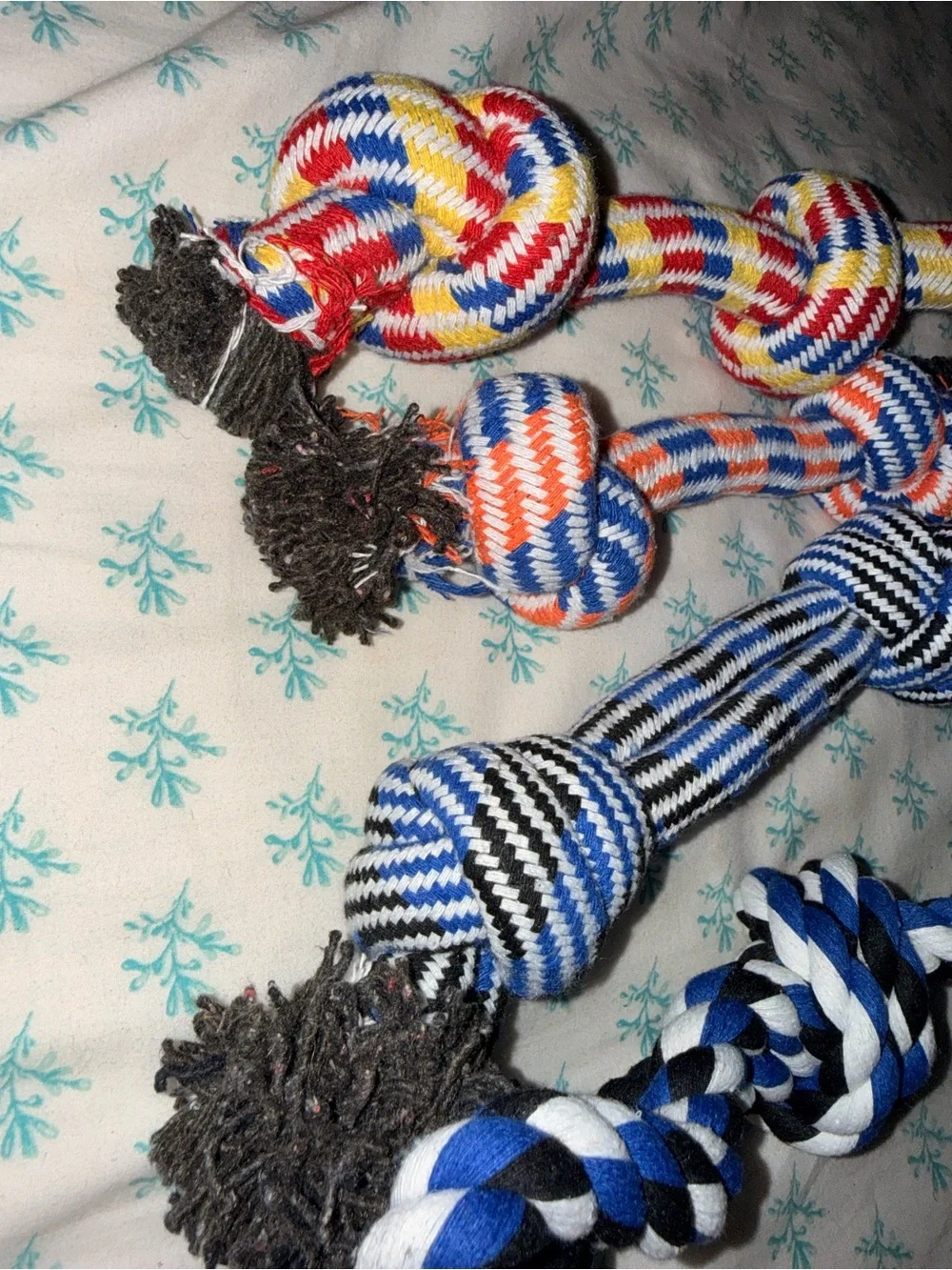 Dogs Multicolor Rope Knot Dog Toys - Blue, White, Red, Yellow-set of 5-NWOT